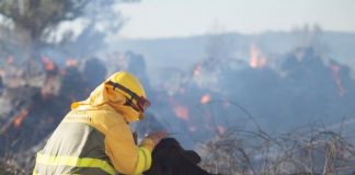 Las redes sociales se inundan de ofrecimientos y donaciones para los ganaderos afectados por el incendio de Ávila (agroclm los recoge)
