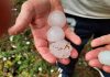 Vídeo. Las tormentas causan daños en la provincia de Cuenca