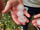Vídeo. Las tormentas causan daños en la provincia de Cuenca