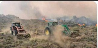 Vídeo. La rápida intervención de unos agricultores conquenses evitan un incendio incendio