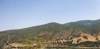 El Gobierno de Castilla-La Mancha solicita que se evite el uso de maquinaria que pueda causar incendios forestales, por la ola de calor