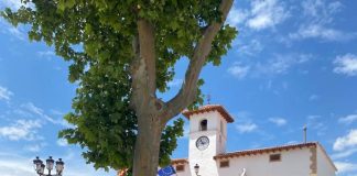 PistaCuenca procesará 450.000 kilos de pistachos secos PistaCuenca