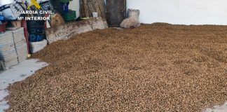 Comienza la campaña de almendra y empiezan los robos robo de almendras