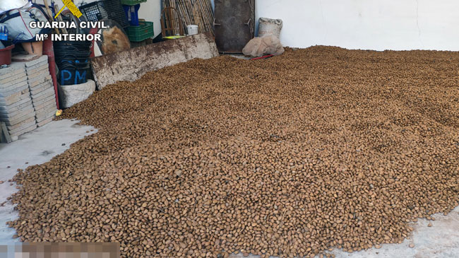 robo almendras robo de almendras