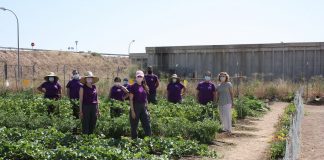Torralba de Calatrava apuesta por los huertos agroecológicos