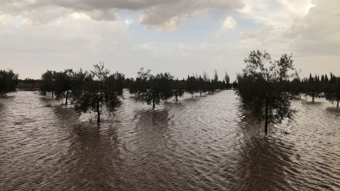 tomenta agosto 2021 tormenta