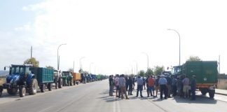 Viticultores de la DO Valdepeñas se concentran contra los precios de la uva