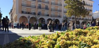 Tractorada en Socuéllamos por “unos precios dignos para la uva y el vino”