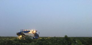 Vídeo. Comienza la vendimia en La Mancha