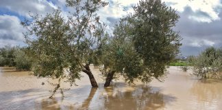 Fundación Eurocaja Rural organizará un gran encuentro sobre cambio climático