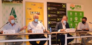 El sector agrario andaluz alerta de la pérdida de renta que provocarán los ecoesquemas Sector agrario andaluz