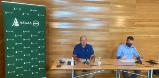 Advierte a las bodegas de que los precios de la uva deben mejorar en un contexto de recuperación de ventas Precios uva Asaja Rioja