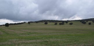 ¿Cómo será la pérdida de suelo por erosión en 100 años? suelo