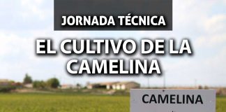 Jornada técnica sobre el cultivo de la camelina. 30 de septiembre. Daimiel Camelina