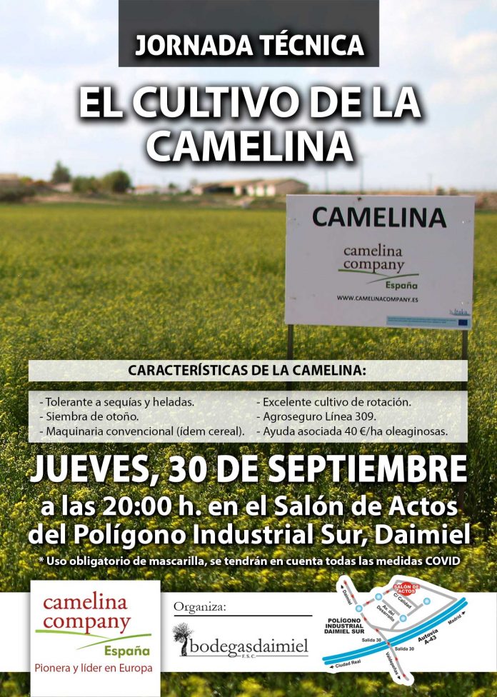 Camelina