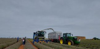 Demostración pionera en España: el novedoso sistema Autotrac Vision de cámara frontal, de John Deere John Deere