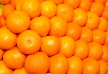 La UE detecta las primeras naranjas de Egipto con residuos y productos fitosanitarios prohibidos naranjas