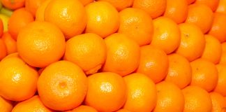 España urge a la Comisión Europea a tomar una decisión «efectiva» sobre los tratamientos contra plagas naranjas