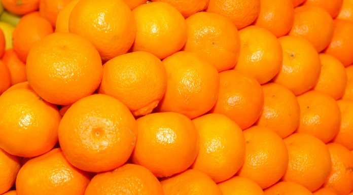 La UE detecta las primeras naranjas de Egipto con residuos y productos fitosanitarios prohibidos naranjas