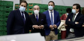 Núñez destaca la defensa del PP de sectores económicos como la agricultura y la ganadería