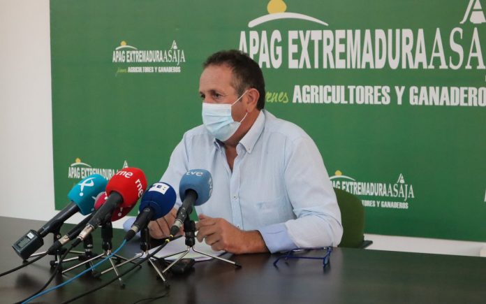 Juan Metidieri