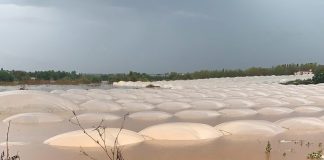 Frente a la catástrofe, seguros agrarios. Lorenzo Ramos. Secretario general de UPA Inundaciones Huelva