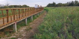 La falta de agua en ‘Las Tablas’ empieza a resentir al sector turístico Turismo Tablas Daimiel