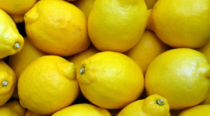 ASAJA denuncia precios a la baja para el limón pese a la fuerte demanda de zumo limones