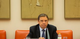 La nueva PAC establecerá un pago a las primeras hectáreas Luis Planas