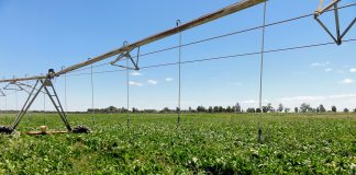 Reclama medidas urgentes ante la inasumible subida del 300% de la luz en las explotaciones agrícolas y ganaderas riego