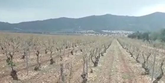 tormenta villarrubia