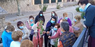 AMFAR imparte esta semana 12 cursos y 15 jornadas en diferentes provincias