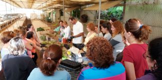 AMFAR arranca con la formación presencial para mujeres rurales en Membrilla, Bolaños de Calatrava y Chillón