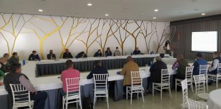 Cooperativas Agro-alimentarias Castilla-La Mancha estima que la producción de aceite caerá al menos un 20% respecto a la campaña pasada