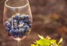 1,5 millones para Denominaciones de Origen e Indicaciones Geográficas Protegidas de Castilla-La Mancha DO La Mancha