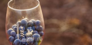 La cosecha de la Denominación de Origen La Mancha se reduce en torno a un 25 por ciento