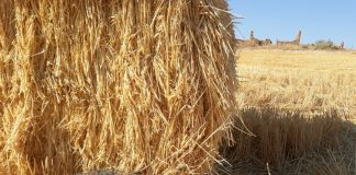 Granja Ecológica ‘La Barja’ participará activamente en la Muestra Alimentaria ‘Degusta Tomelloso’