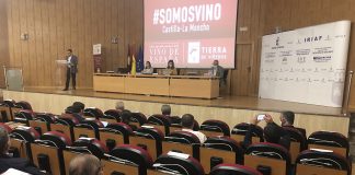 El sector vitivinícola aporta más de un 4,6% al PIB de Castilla-La Mancha