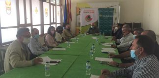 Precios “ruinosos” para la sandía y sin beneficio empresarial para el melón de Castilla-La Mancha