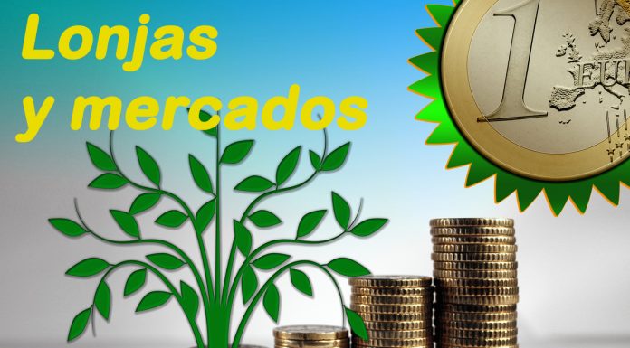 Lonja Agropecuaria de Talavera de la Reina. Vacuno. 5-noviembre-2025 lonjas y mercados