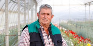 Flores: el símbolo cultural que llegó del campo. Lorenzo Ramos Silva. Secretario general de UPA