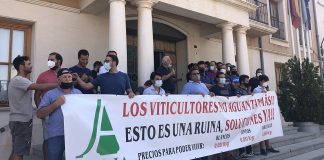 ASAJA Socuéllamos afirma que ha conseguido mejorar el precio de la uva airén