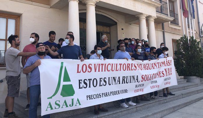 MANIFA UVA SOCUELLAMOS