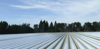 Nuevo paso del sistema colectivo que organizará la gestión de los residuos plásticos agrarios (no envases) en España