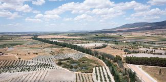 WWF denuncia la existencia de 88.645 hectáreas de regadío ilegal Humedal Tablas Daimiel