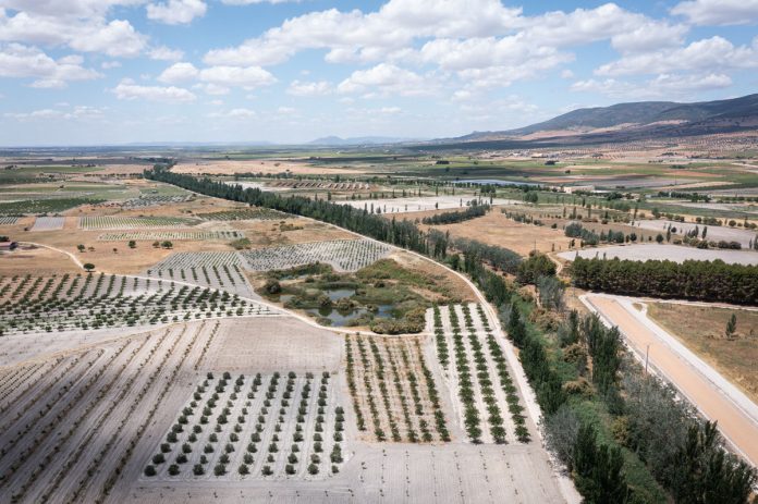 Humedal Tablas Daimiel
