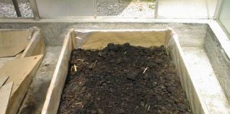 Las vidas posibles del alperujo: un estudio demuestra cuál es la opción más sostenible alperujo ganadería