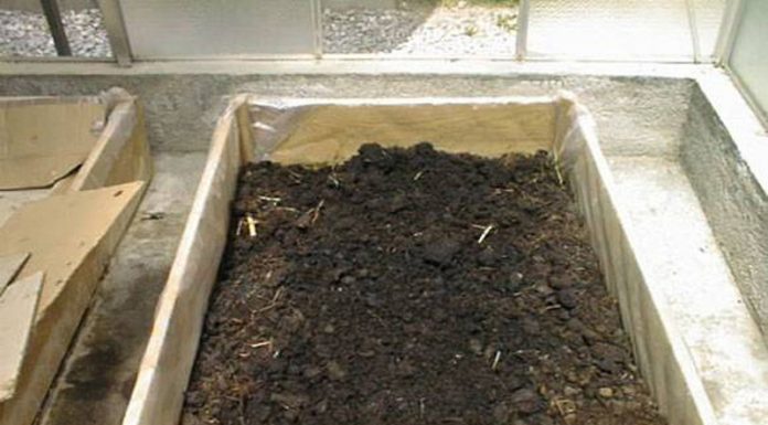 Las vidas posibles del alperujo: un estudio demuestra cuál es la opción más sostenible alperujo ganadería