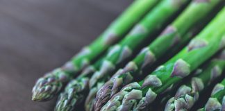 El espárrago verde quiere viajar desde España a Estados Unidos y Japón
