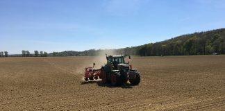 Los agricultores valoran la siembra en seco de cereales, ante la falta de humedad en las tierras siembra
